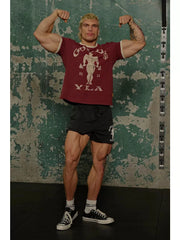 YOUNG LA Sports Short sleeved Men's T-shirt American Trendy Brand Fitness Breathable Running Training Muscle Rubbing Iron Dog Brother